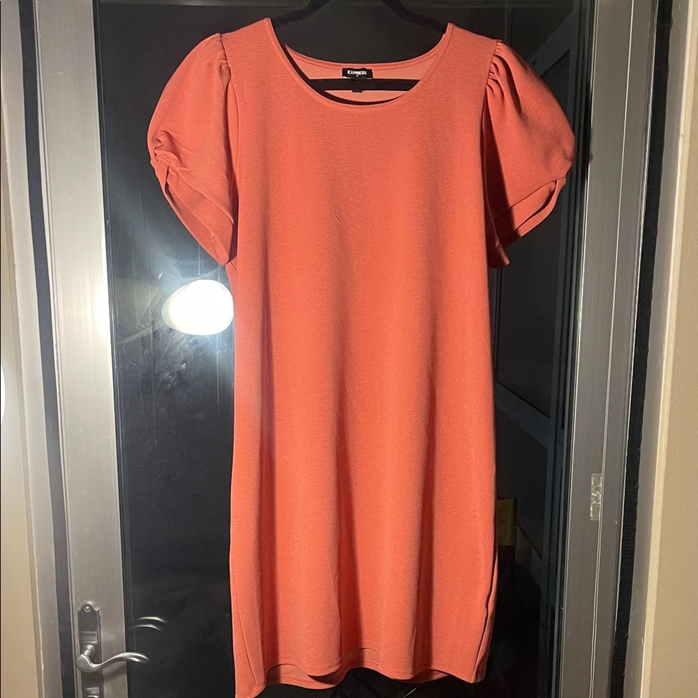 Express Workwear Dress